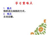 人教版高一生物必修1课件：4.3 物质跨膜运输的方式2