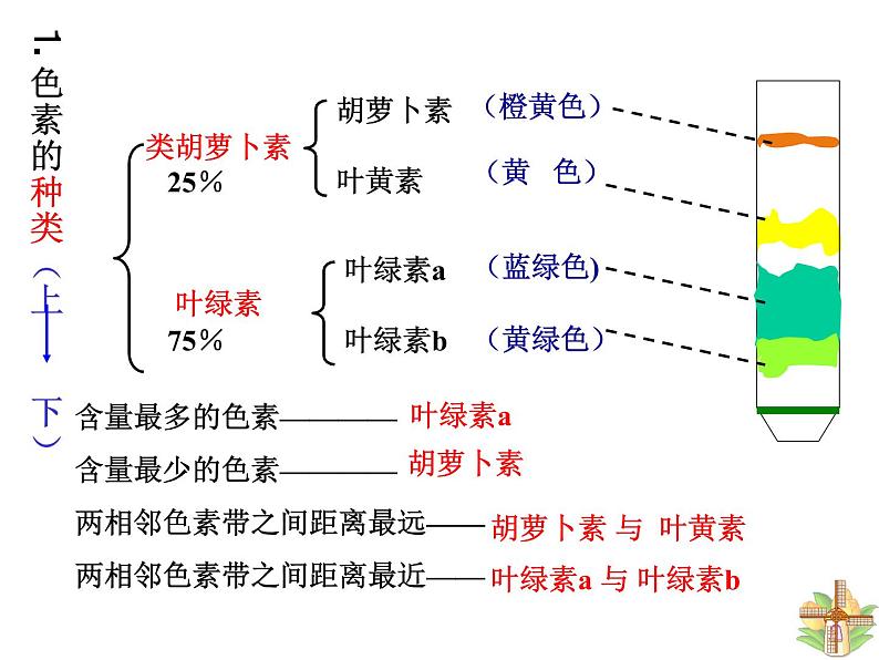 人教版高一生物必修1课件：5.4.1色素与叶绿素05