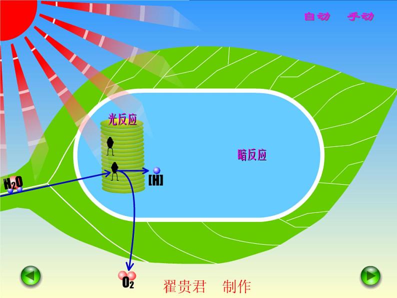 人教版高一生物必修1课件：5.4.2光合作用的发现及过程07