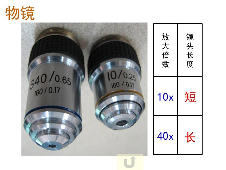 人教版高一生物必修1课件：第一章 显微镜的使用05