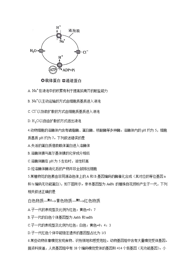 2021年八省联考湖北省生物试卷及答案解析（原卷+解析卷）02