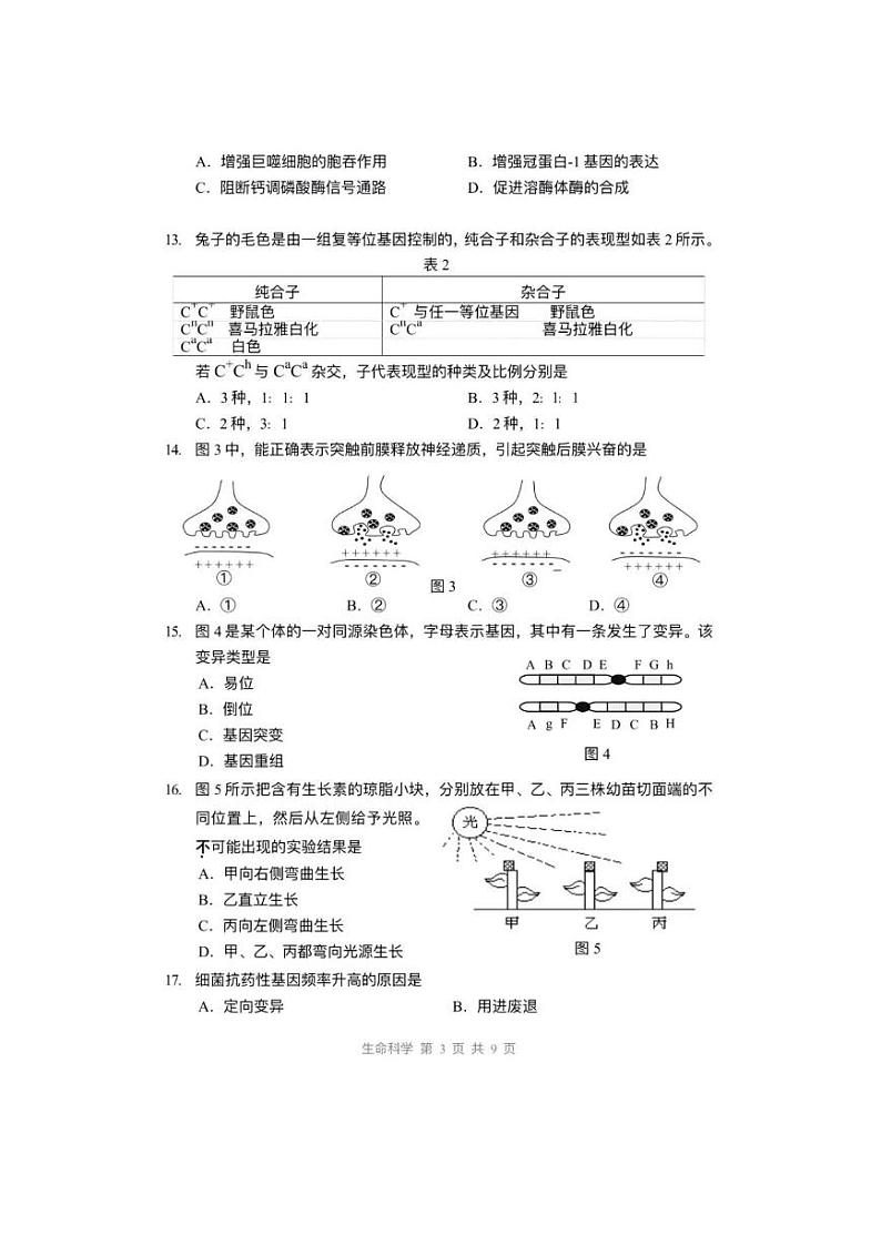 上海金山区2021高三二模生物试卷（含答案）03