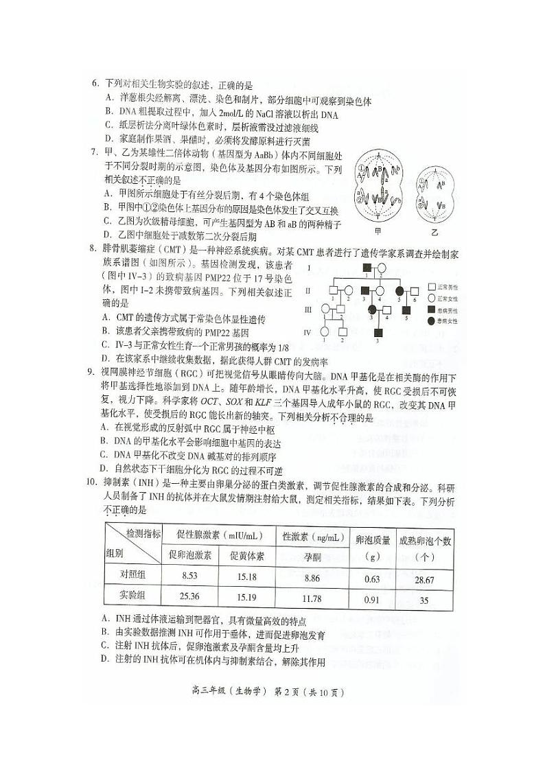 2021年北京市海淀区高三生物一模试卷含答案02