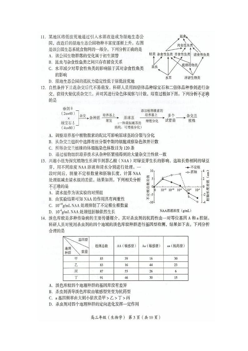 2021年北京市海淀区高三生物一模试卷含答案03