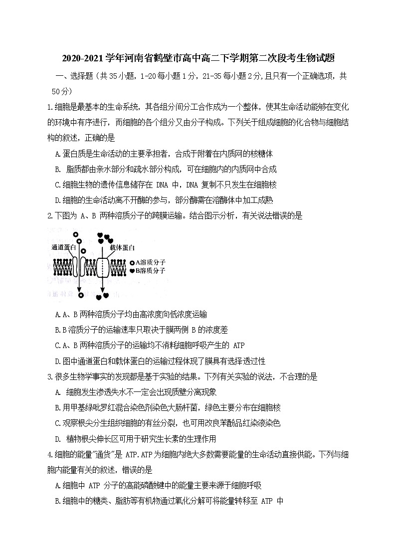 2020-2021学年河南省鹤壁市高中高二下学期第二次段考生物试题 Word版01