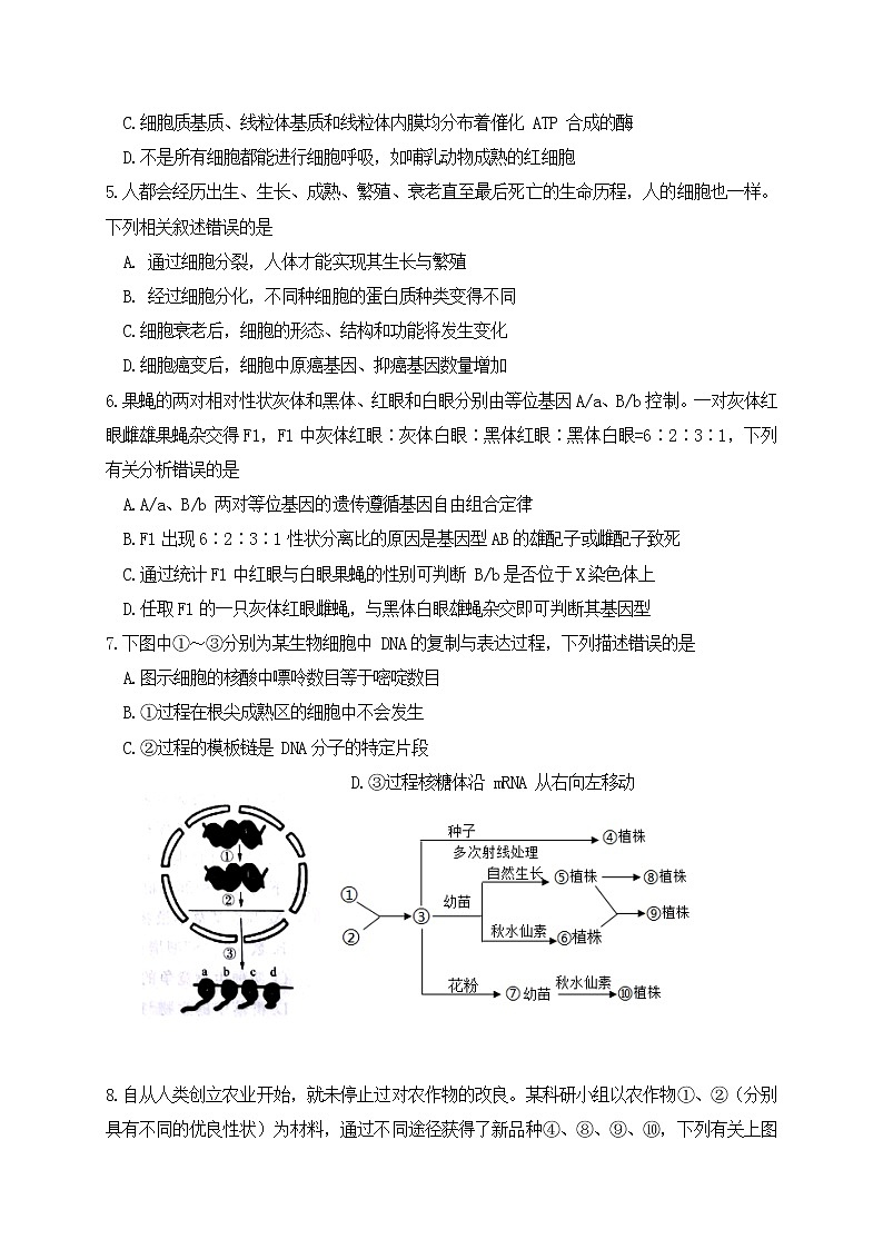 2020-2021学年河南省鹤壁市高中高二下学期第二次段考生物试题 Word版02