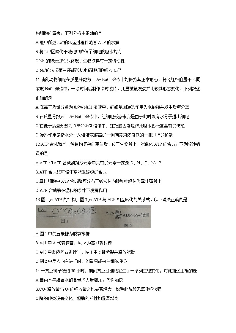 2020-2021学年河南省豫南九校高一下学期第一次联考 生物 试卷03