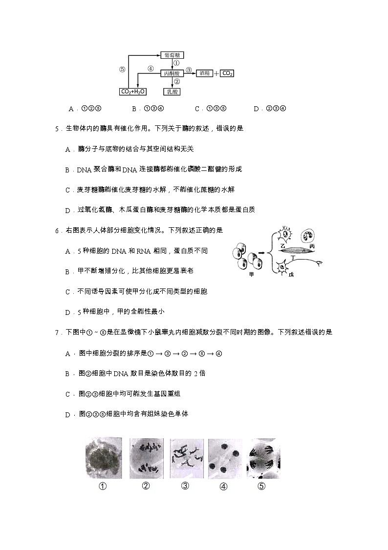 北京市石景山区2021届高三生物3月一模试题（Word版附答案）02
