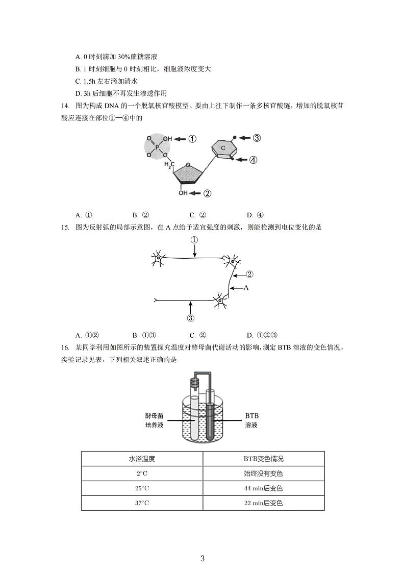 2021届黄浦区高考生物二模试卷及答案03