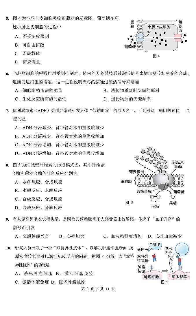 2021届崇明区高考生物二模试卷及答案第2页