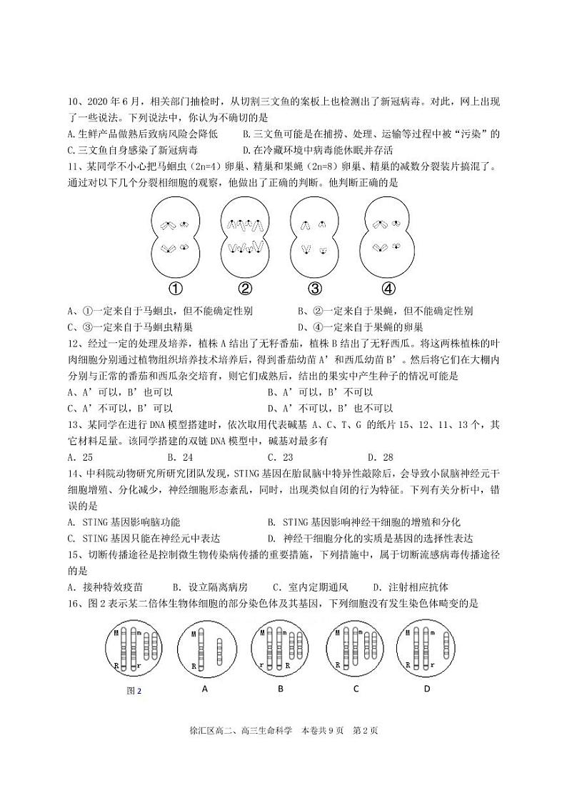 2021届徐汇区高考生物二模试卷及答案02