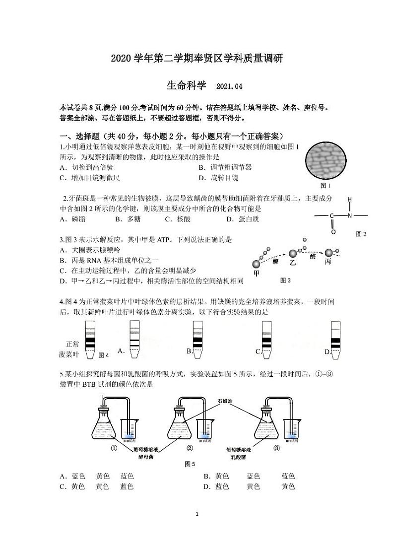 2021届奉贤区高考生物二模试卷及答案01