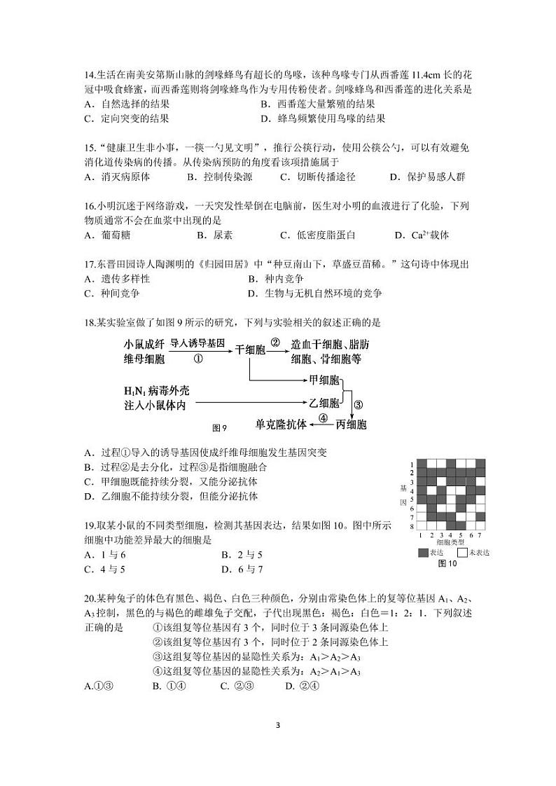 2021届奉贤区高考生物二模试卷及答案03