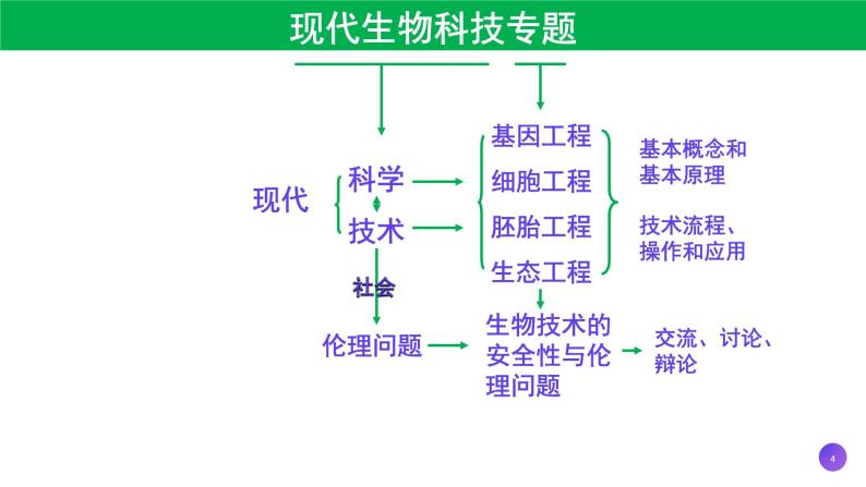 2021年春人教版高二生物选修三课件：1.1 DNA重组技术的基本工具04