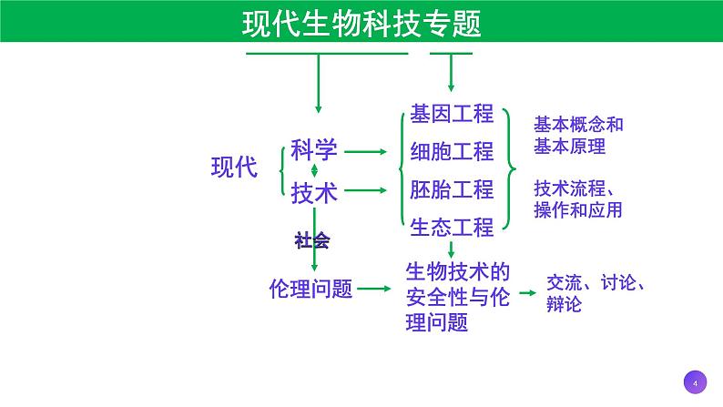 2021年春人教版高二生物选修三课件：1.1 DNA重组技术的基本工具第4页