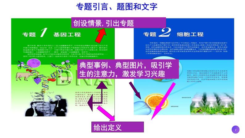 2021年春人教版高二生物选修三课件：1.1 DNA重组技术的基本工具07