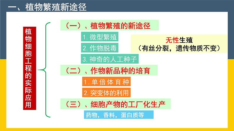 2021年春人教版高二生物选修三课件：2.1.2 植物细胞工程的实际应用04