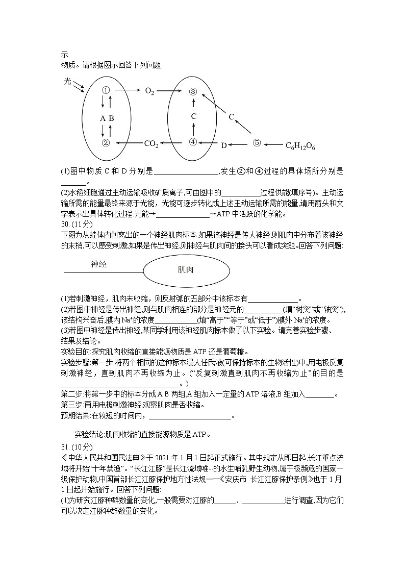 西南四省名校2021届高三第三次大联考理综生物试卷  Word版含答案解析第2页
