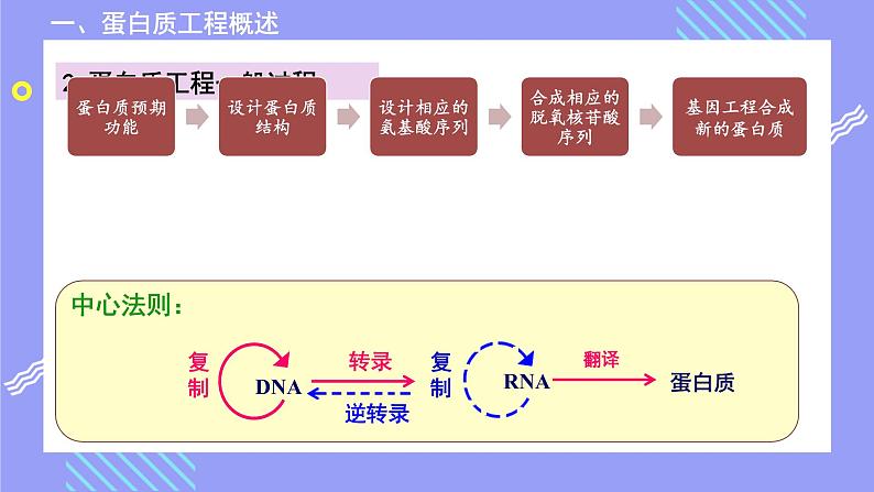 2021年春人教版高二生物选修三课件：1.4 蛋白质工程的崛起06