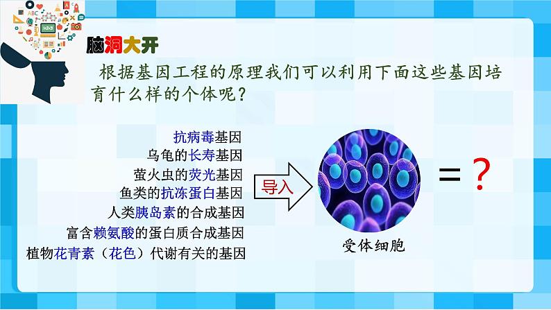 2021年春人教版高二生物选修三课件：1.3  基因工程的应用02