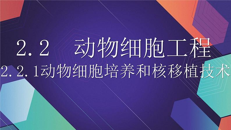 2021年春人教版高二生物选修三课件：2.2.1动物细胞培养和核移植技术04