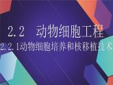 2021年春人教版高二生物选修三课件：2.2.1动物细胞培养和核移植技术