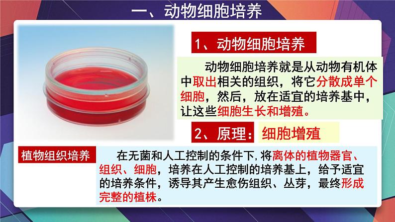 2021年春人教版高二生物选修三课件：2.2.1动物细胞培养和核移植技术07