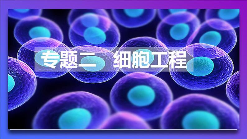 2021年春人教版高二生物选修三课件：2.1.1 植物细胞工程的基本技术01