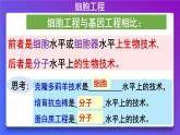 2021年春人教版高二生物选修三课件：2.1.1 植物细胞工程的基本技术