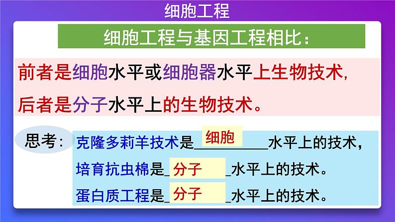 2021年春人教版高二生物选修三课件：2.1.1 植物细胞工程的基本技术03