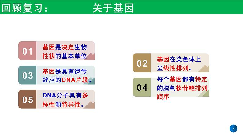 2021年春人教版高二生物选修三课件：1.2  基因工程的基本操作程序02