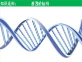 2021年春人教版高二生物选修三课件：1.2  基因工程的基本操作程序