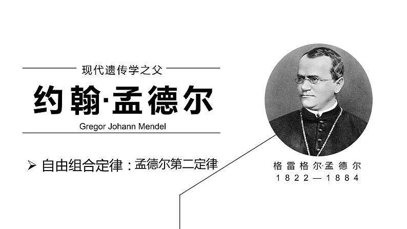 1.2 孟德尔豌豆杂交实验 (二) 课件【新教材】 2020-2021学年人教版（2019）高一生物必修二第5页