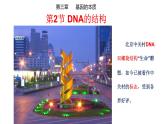 3.2 DNA的结构 课件【新教材】2020-2021学年高一生物人教版（2019）必修二