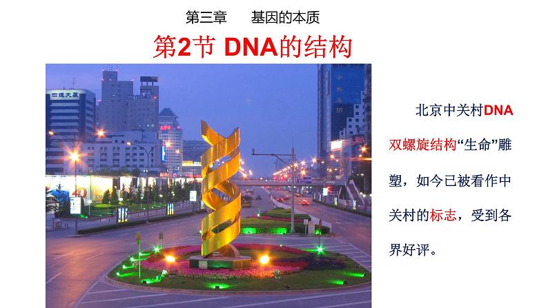 3.2 DNA的结构 课件【新教材】2020-2021学年高一生物人教版（2019）必修二第1页
