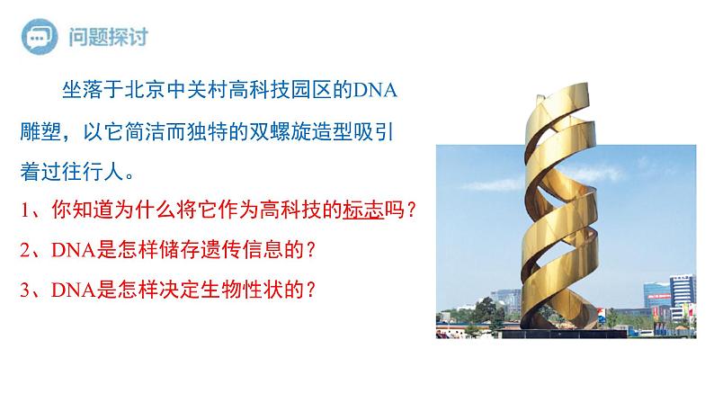 3.2 DNA的结构 课件【新教材】2020-2021学年高一生物人教版（2019）必修二第2页