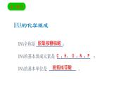 3.2 DNA的结构 课件【新教材】2020-2021学年高一生物人教版（2019）必修二