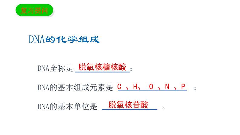 3.2 DNA的结构 课件【新教材】2020-2021学年高一生物人教版（2019）必修二第4页