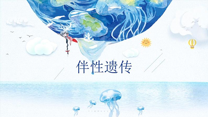 2.3 伴性遗传 课件【新教材】2020-2021学年高一生物人教版（2019）必修二01