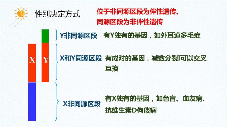 2.3 伴性遗传 课件【新教材】2020-2021学年高一生物人教版（2019）必修二07