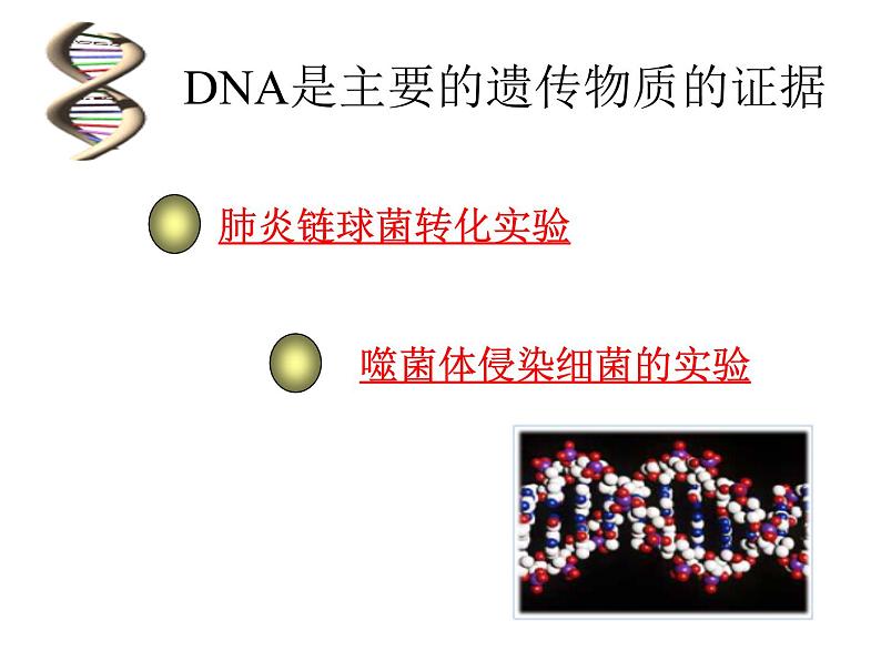 3.1DNA是主要的遗传物质 课件【新教材】2020-2021学年人教版（2019）高一生物必修二05