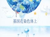 2.2 基因在染色体上 课件【新教材】2020-2021学年高一生物人教版（2019）必修二