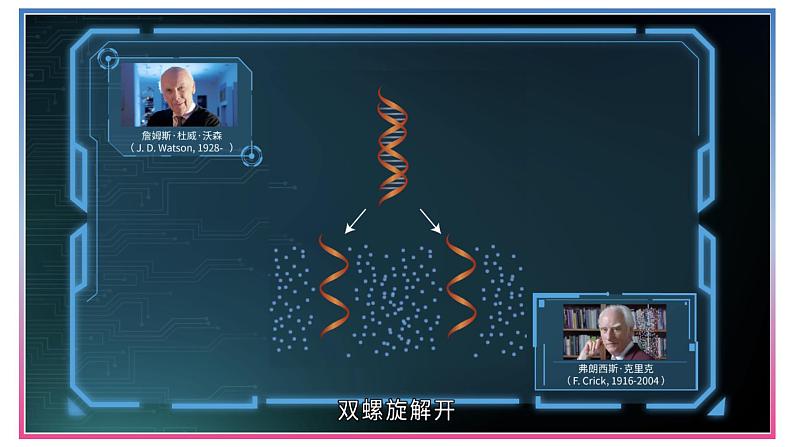 3.3DNA的复制 课件【新教材】2020-2021学年高一生物人教版（2019）必修二07