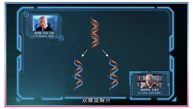 3.3DNA的复制 课件【新教材】2020-2021学年高一生物人教版（2019）必修二08