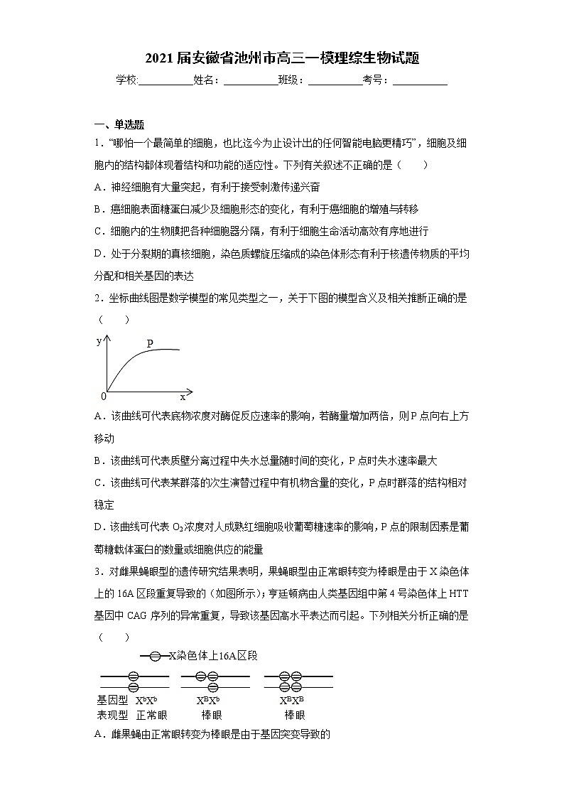 2021届安徽省池州市高三一模理综生物试题（word版 含答案）01