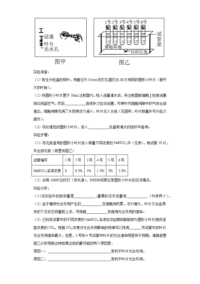 2021届安徽省池州市高三一模理综生物试题（word版 含答案）03