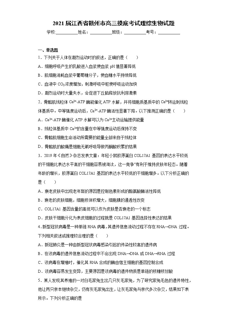 2021届江西省赣州市高三摸底考试理综生物试题（word版 含答案）01