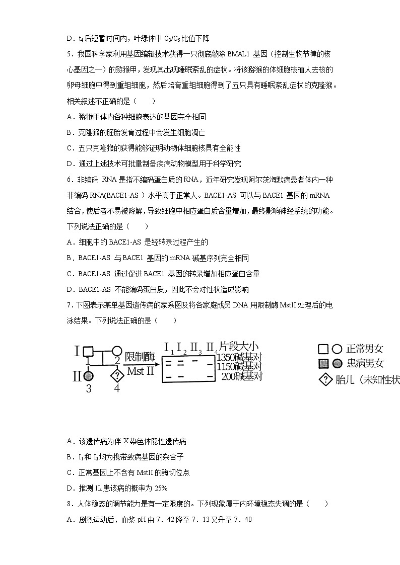 2021届北京市东城区高三下学期综合练习（一）生物试题（word版 含答案）02