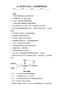 2021届宁夏中卫市高三二模试理综生物试题（word版 含答案）