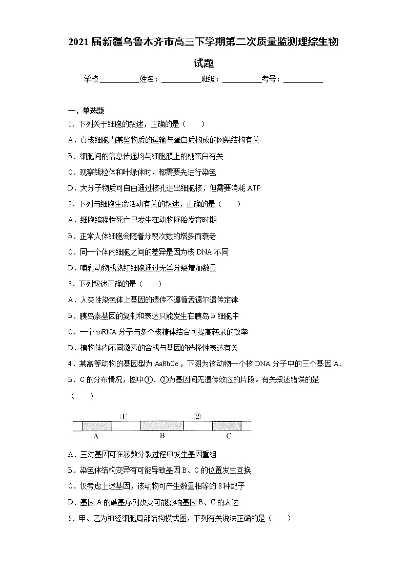 2021届新疆乌鲁木齐市高三下学期第二次质量监测理综生物试题（word版 含答案）01